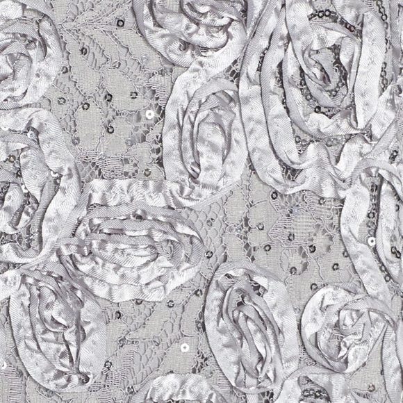 Elegant 💍  Alex Evenings Embellished Lace Silver Gown - Picture 6 of 8